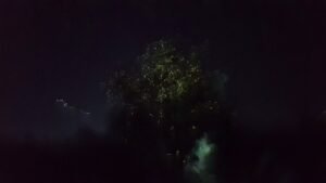 20190529_080102