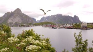 20190623_095325